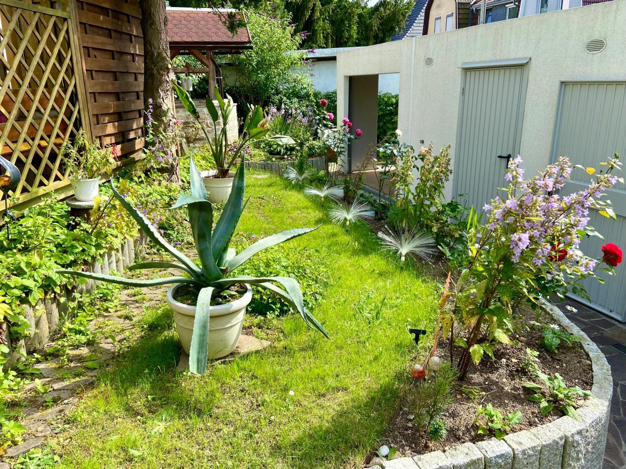 Regenbergblick Appartement Zella-Mehlis Buitenkant foto